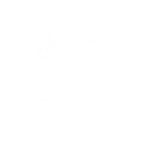 Nexusight logo